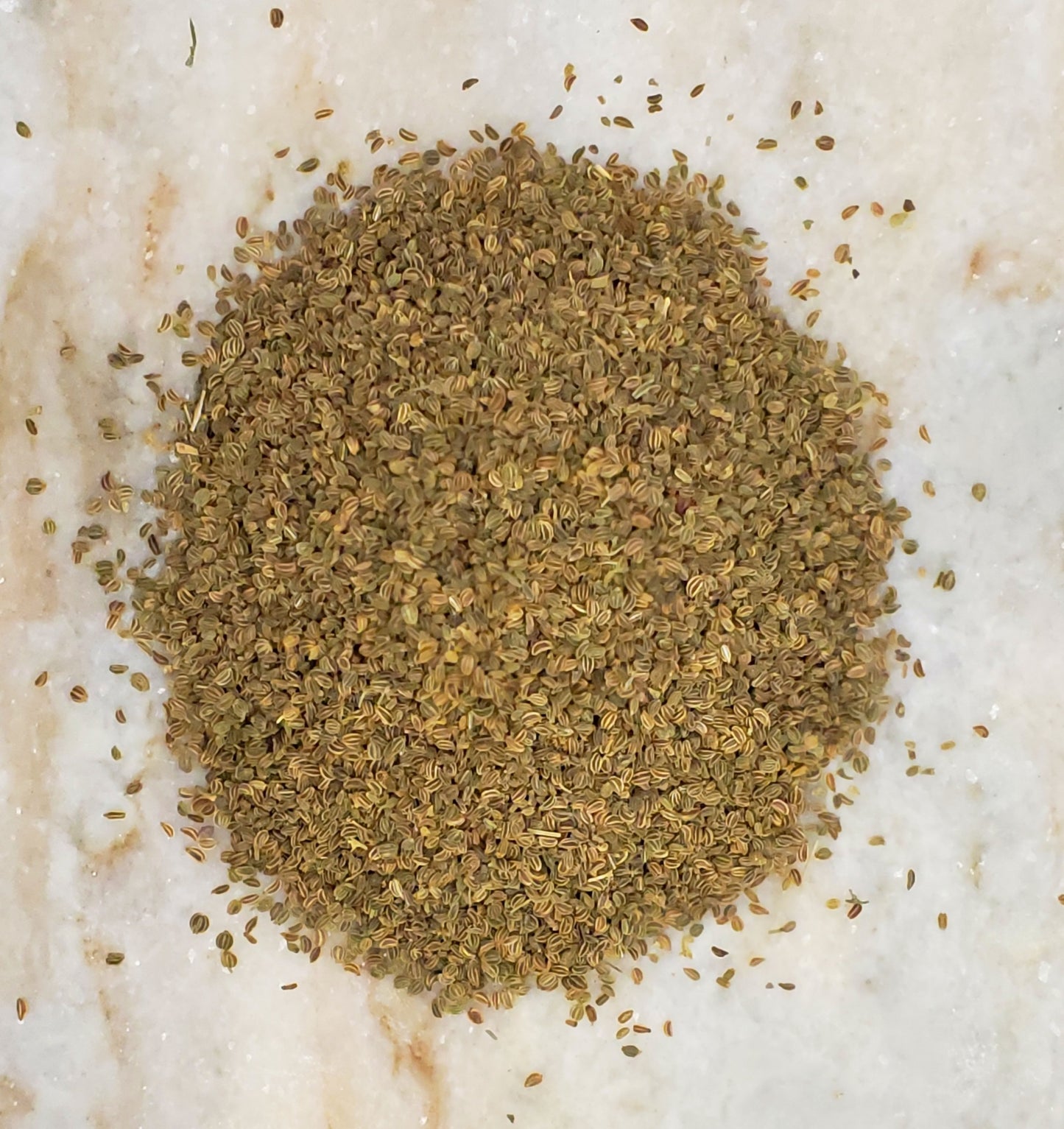 Celery Seed